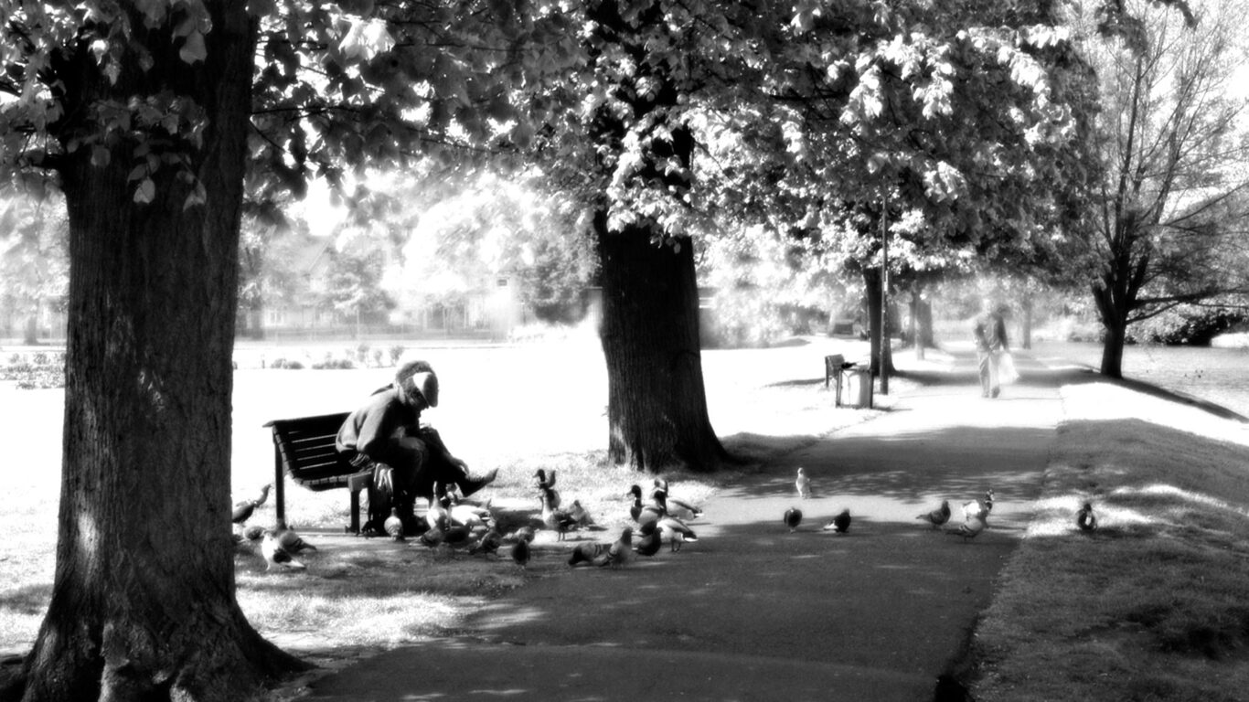 Feeding-the-Birds-Cambridge